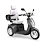 Elite Scooter