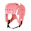 Shown in Pink Shown in Pink