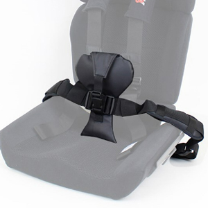 Convaid Carrot 3 Booster Car Seat for Special Needs