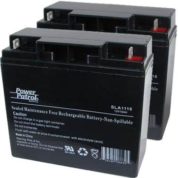 Interstate Batteries 12V 18 AH Sealed Lead Acid (Pair) Battery