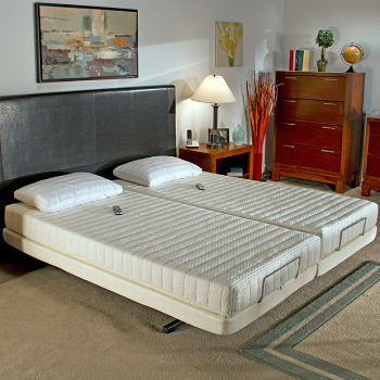 Transfer Master Supernal Hi-Low Bed Adjustable Bed