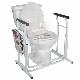 Drive Medical Free-Standing Toilet Safety Rail