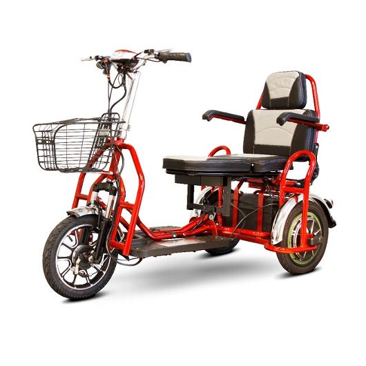 EW-02 Dual Seater Recreational Scooter
