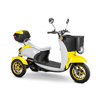 EWheels EW 11 Euro Recreational Scooter