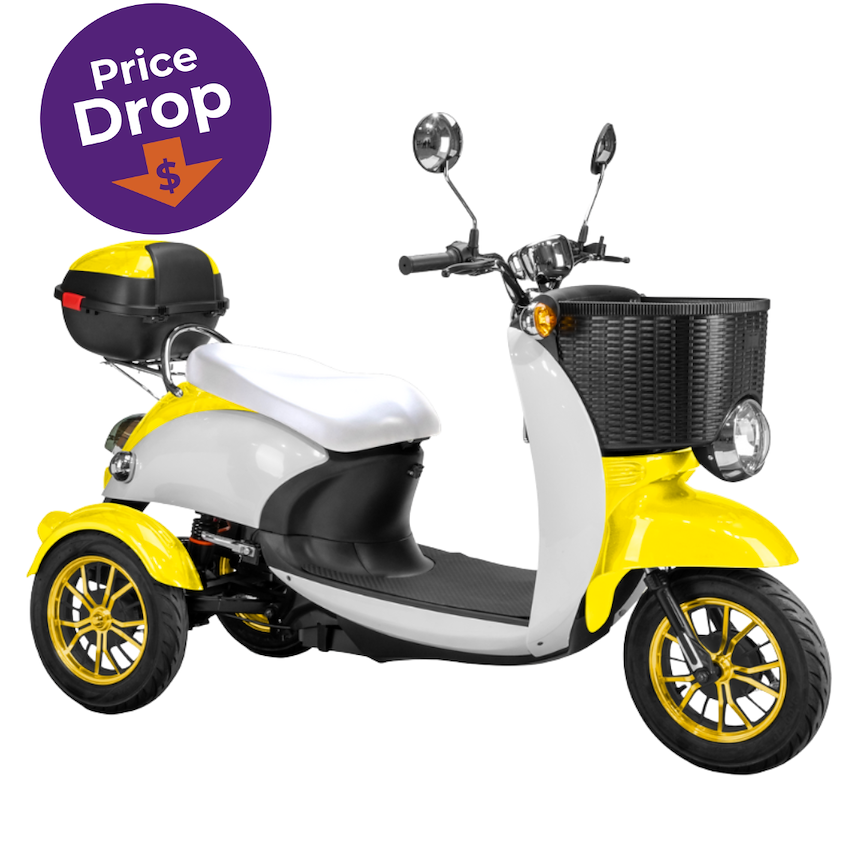 EW 11 Sport Euro Style