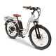 EWheels BAM-StepThru Electric Bike