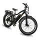 EWheels BAM-Supreme Electric Bike
