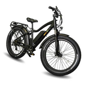 EWheels BAM-Supreme Electric Bike Electric Powered Bike