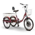 EWheels EW29 Electric Bike