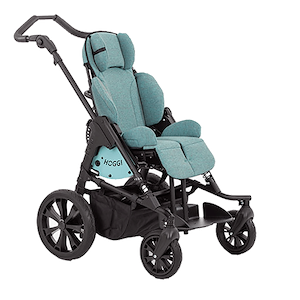 Adaptive Imports Hoggi Bingo Evolution