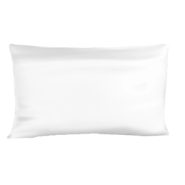 Rize Home Silk Pillowcase - 6 Pack Sheets and Pillows