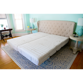 Transfer Master Companion HD Deluxe Homecare Beds